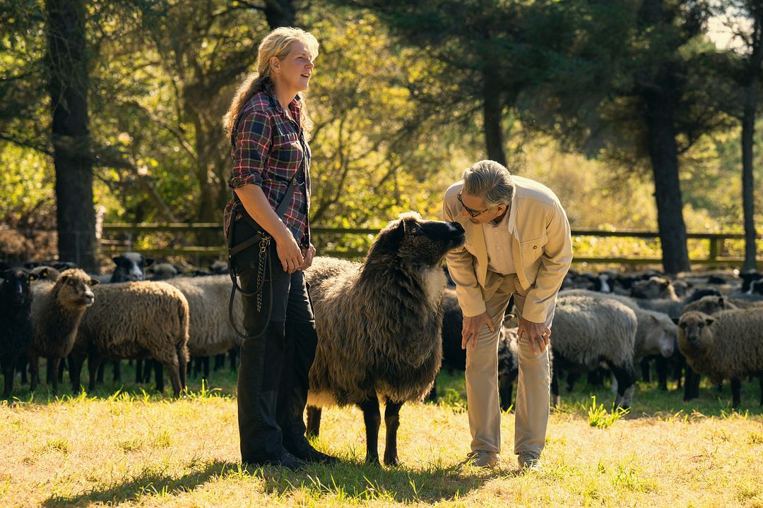 Eugene Levy, el antiviajero : Foto